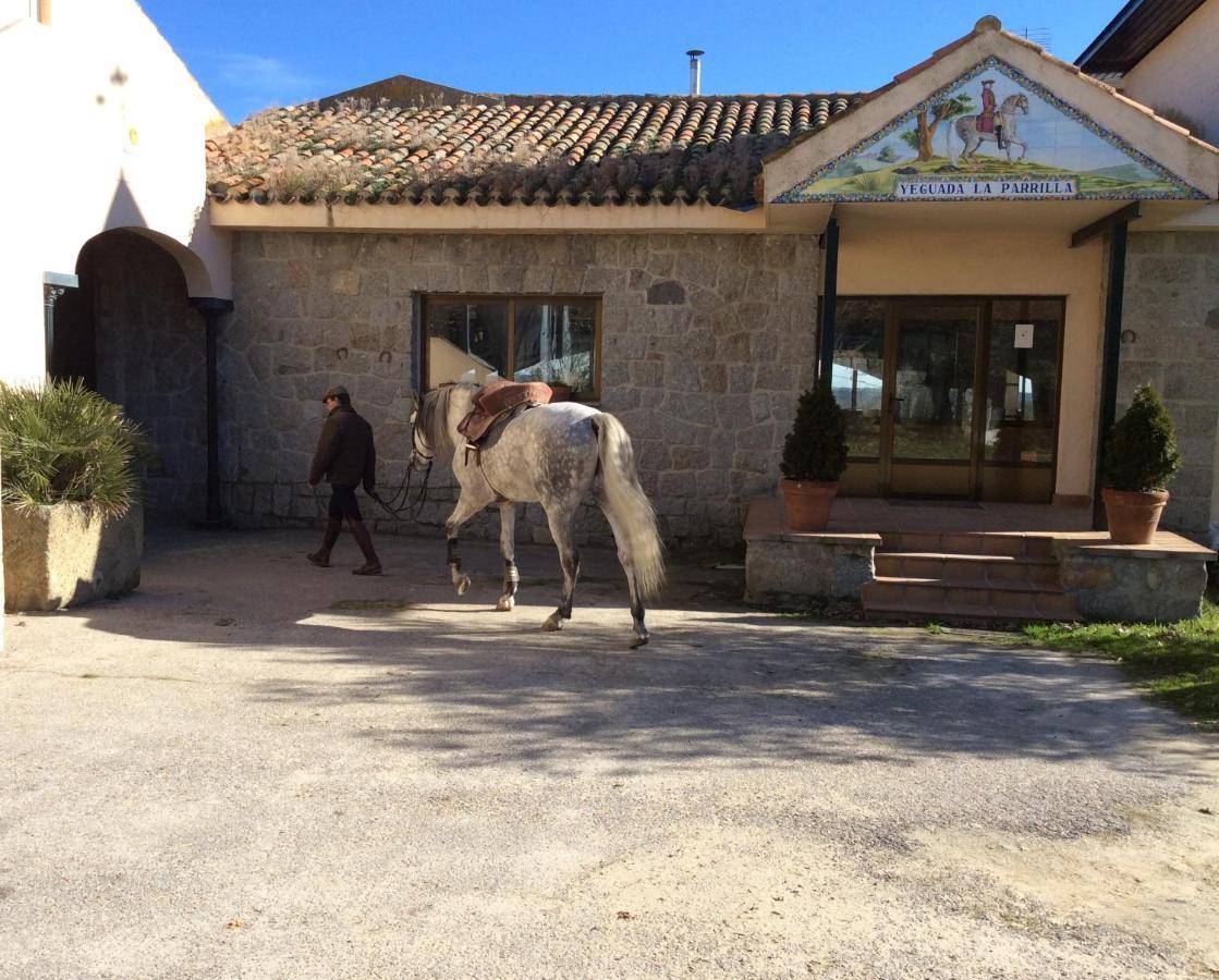 B&B Yeguada La Parrilla Эскориал Экстерьер фото